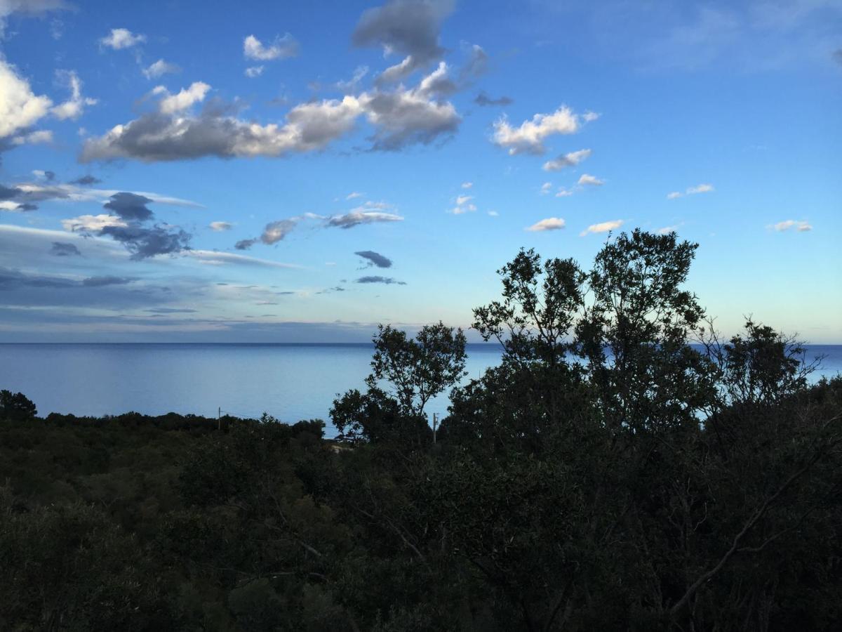 Villa L'Alpana En Bois Vue Mer A 180 Degres Sari-Solenzara Bagian luar foto